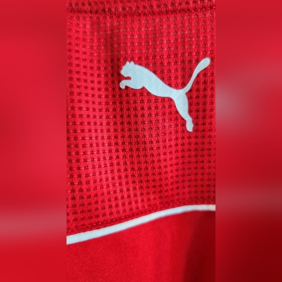 Puma - Picture 5 of 8